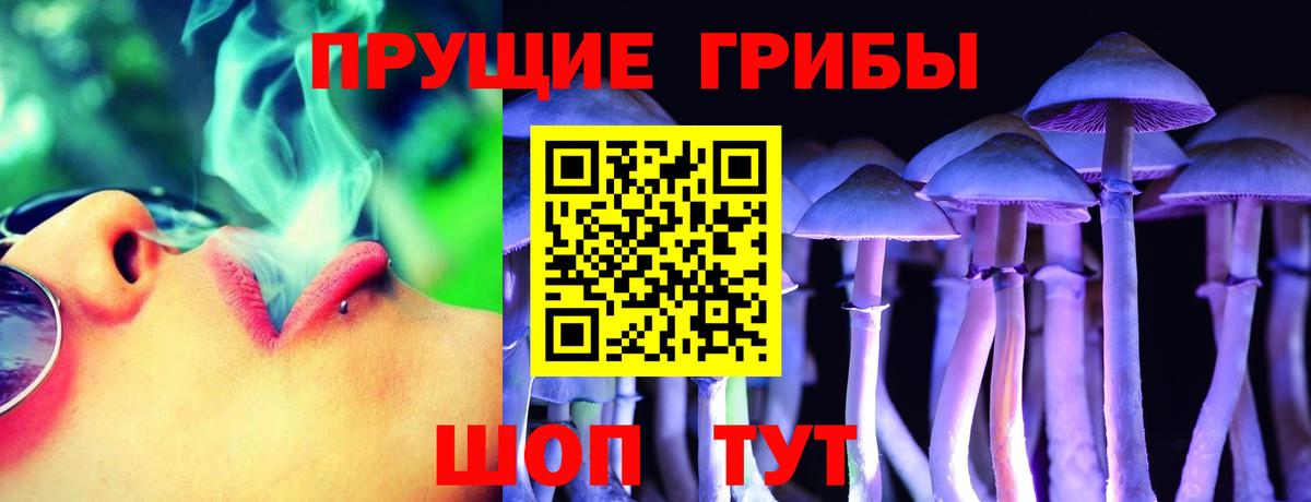 Галлюциногенные грибы Psilocybe Чебоксары